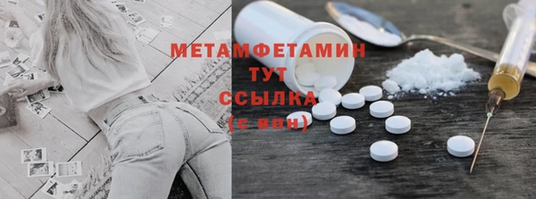 индика Богородск