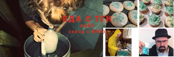 индика Богородск