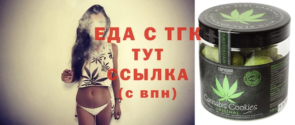 индика Богородск