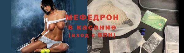 индика Богородск