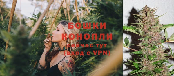 индика Богородск