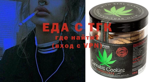 индика Богородск