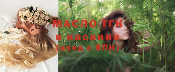 индика Богородск