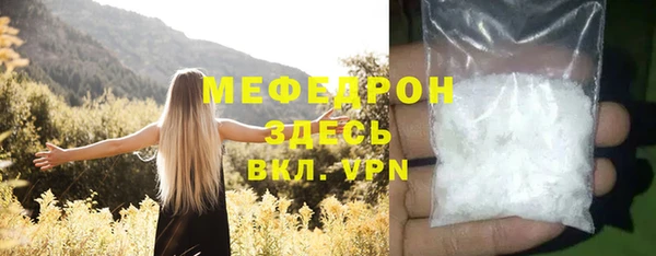 индика Богородск
