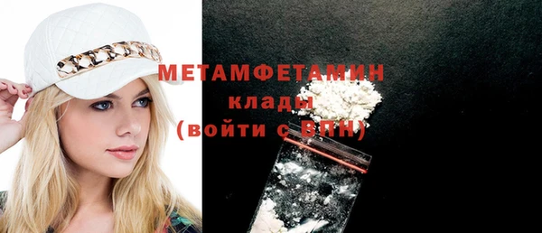 индика Богородск